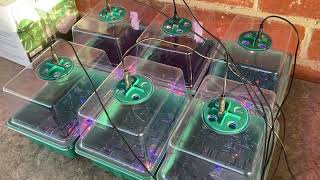 Yaungel Propagator with LED Lights Review and Begining of an Experiment Part 1 [upl. by Ellivnarg]