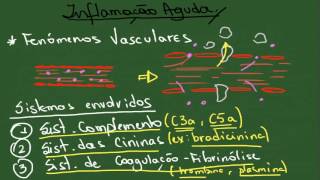 Inflamação Aguda  Resumo  Patologia Geral [upl. by Marola]