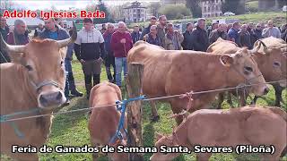 Feria de ganados en Sevares Piloña [upl. by Gytle722]