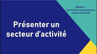 Présenter un secteur dactivité [upl. by Mercorr]