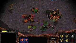 Starcraft  Zerg Mission 7 The Culling [upl. by Kevon612]