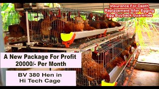 BV380 Hen cage with 250 chicks  profit upto 20000 month  insurance and replacement packages [upl. by Kareem]