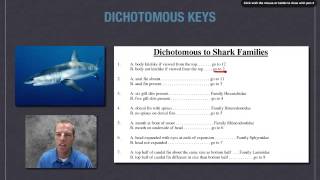 Classifying with Dichotomous Keys [upl. by Eelessej]