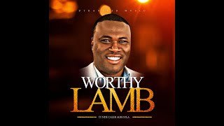 Worthy Lamb Official Lyric Video [upl. by Idmann]