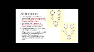 Polyploidy [upl. by Zetra]