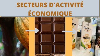 Les secteurs dactivité économique [upl. by Jablon862]