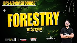 Forestry1  ibpsafo  ibpsso  Crash Course  Bilingual [upl. by Terrijo]