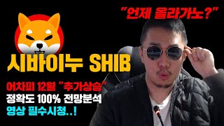 시바이누 SHIB 긴급 도지코인도 설명해줌 빠르면 다음주 늦어도 12월부터 quot추가상승quot 나온다 정확도 100 전망분석 영상 필수시청 코인시황 [upl. by Werbel194]