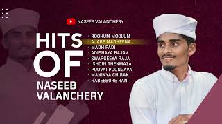 HITS OF NASEEB VALANCHERY [upl. by Hylan]