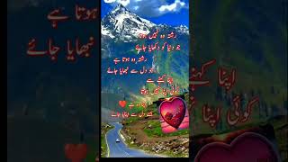 urdu shayari black screen statusurdu shayari black screen status [upl. by Valentine]