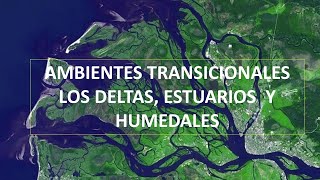 Ambientes transicionales quotLos deltas estuarios y humedalesquot [upl. by Evets]