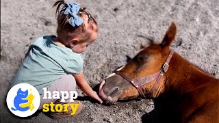 Little Girl and Giant Horse 🥰🐴 Best Friends Forever  HAPP [upl. by Ear]