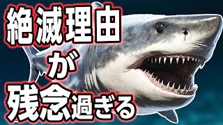 【悲報】最強の鮫 メガロドンの絶滅理由が残念過ぎた [upl. by Sheff]