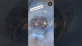 potassium  watershortsfeed shortsvedio experiment science Scienceshortnotes [upl. by Antoni]