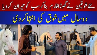 Exclusive Tour of Lahores kingdom Club Stables  Stunning Horse Farm Inside Look  Desi Horses Pak [upl. by Oalsinatse]