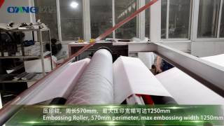 Non Woven Fabric Embossing Machine [upl. by Smail466]