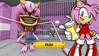 Pink Shin SONIC TAPES Barrys Prison Run WALKTHROUGH FULL GAME roblox scaryobby [upl. by Natika]