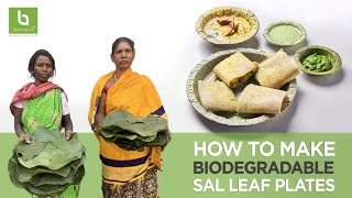 How to make Biodegradable Leaf Plates [upl. by Zetnwahs]