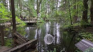 Capilano Suspension Bridge Park  VANCOUVER CANADA 2024 [upl. by Martyn]