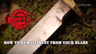 How To Remove Rust From a Knife Blade [upl. by Gabi656]