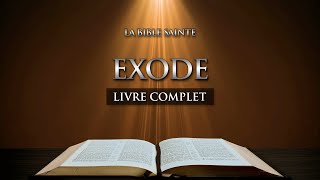 Exode  LAncien Testament • La Sainte Bible Audio Complète [upl. by Eitirahc]