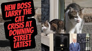 LARRY THE CAT  NEW BOSS NEW HOME LATEST NEWS downingstreet cat larrythecat [upl. by Aniretac114]