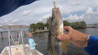 Caloosahatchee River Fishing by Boat [upl. by Eilis]