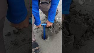 How to catch a razor fish  clams [upl. by Hanid]