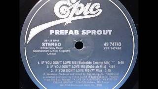 If You Dont Love Me Future Sound Of London Stateside Swamp Mix  Prefab Sprout [upl. by Nemad]