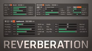 Reverberation  Reverb mpReverb amp Convolver [upl. by Lea]