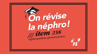 Item 258  Les néphropathies glomérulaires  On révise la néphro 2 [upl. by Aneram697]