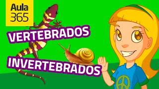 LOS ARÁCNIDOS Animales invertebrados  Vídeos educativos para niños [upl. by Nosreip233]