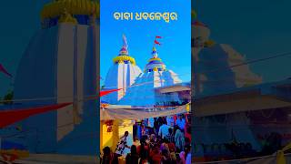 କଳା ବଳଦ କୁ ଧଳା କରିଦେଲେ Baba Dhabaleswar mahadevmahakalshivshortsyoutubeshorts [upl. by Liliane]