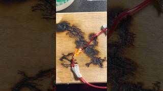 Lichtenberg wood burning fractal’s with a high voltage module shorts [upl. by Niliram]