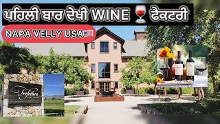 TREFETHEN WINERY ਚ ਲੋਕ ਆਉਂਦੇ ਫ੍ਰੀ ਦੀ WINE 🍷 ਪੀਣ ।Trefethen winery napa velly USA 🇺🇸 [upl. by Ative]