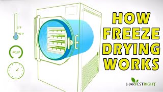 How Freeze Drying Works [upl. by Stanly]