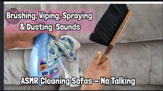 ASMR Cleaning Sofas  Brushing Wiping Spraying Dusting Sound No Talking [upl. by Aennaej707]