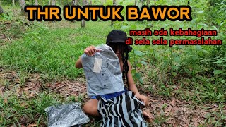 THR UNTUK BAWOR [upl. by Popele510]