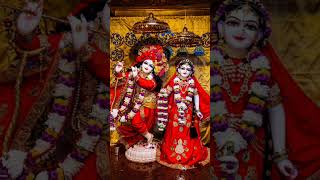 Jai Shree Radhe 🙏🙏 Radhe Krishna 🙏❤️radhakrishna radheradhestatus music [upl. by Bringhurst]