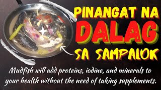 Pinangat na Dalag sa Sampalok  Mudfish  PELES Cooking Habit [upl. by Naitsabas707]