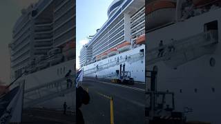 MSC Preziosa😯 luxurycruise cruiseship cruiselovers travel cruisegoals europe cruiselife [upl. by Anelagna]