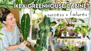 Ikea Greenhouse Cabinet Updates 🌱 WHAT WORKED  WHAT DIDNT [upl. by Grethel]