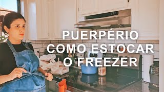 Puerpério Como Estocar O Freezer  Parte 1 [upl. by Nolahc]