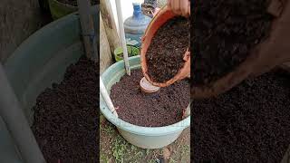 How to make planting media in pots [upl. by Atirb]