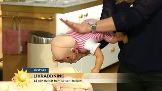 Expert visar Så gör du om ett barn sätter i halsen  Nyhetsmorgon TV4 [upl. by Bunting590]