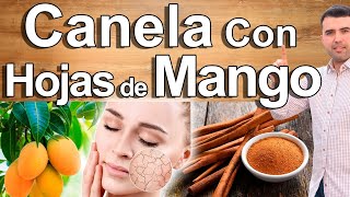 Canela Y Hojas De Mango  Usos Del Té De Canela Y Mango Para La Salud Y Belleza [upl. by Allehc]