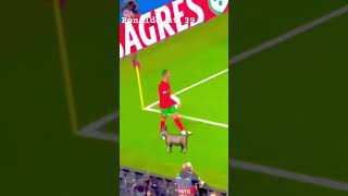 Ronaldo bicycle kick v Poland 🐐 ronaldo goat amazing goal messi [upl. by Eladnor]