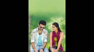 Tune Bate Kholi Kache Dhage Me Piroli Song Lyrics Arijit Singh Love song💗 [upl. by Franciscka]