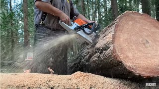 Modified STIHL MS362c and McCULLOCH Pro Mac 850  cutting large logs [upl. by Naitsirhk904]