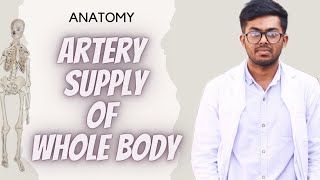 Artery Supply Of Whole BodyHuman Anatomy Bangla WhiteApron Anatomy mbbs Bangla circulation [upl. by Emmons]